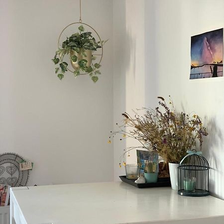 Super Logement Cosy, A Deux Pas Du Tram Nantes Eksteriør bilde