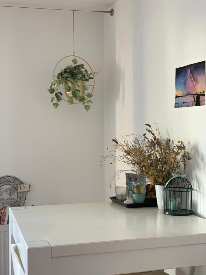 Super Logement Cosy, A Deux Pas Du Tram Nantes Eksteriør bilde